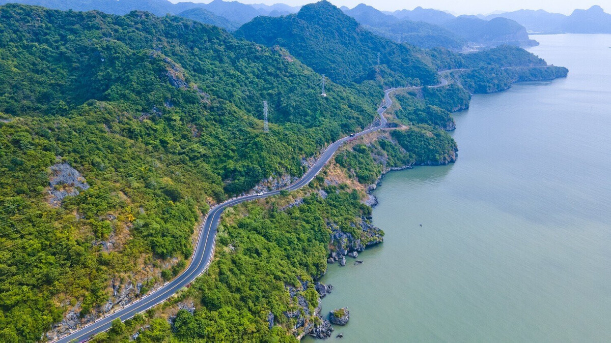 Đường xuyên đảo Cát Bà. (Ảnh: Internet)