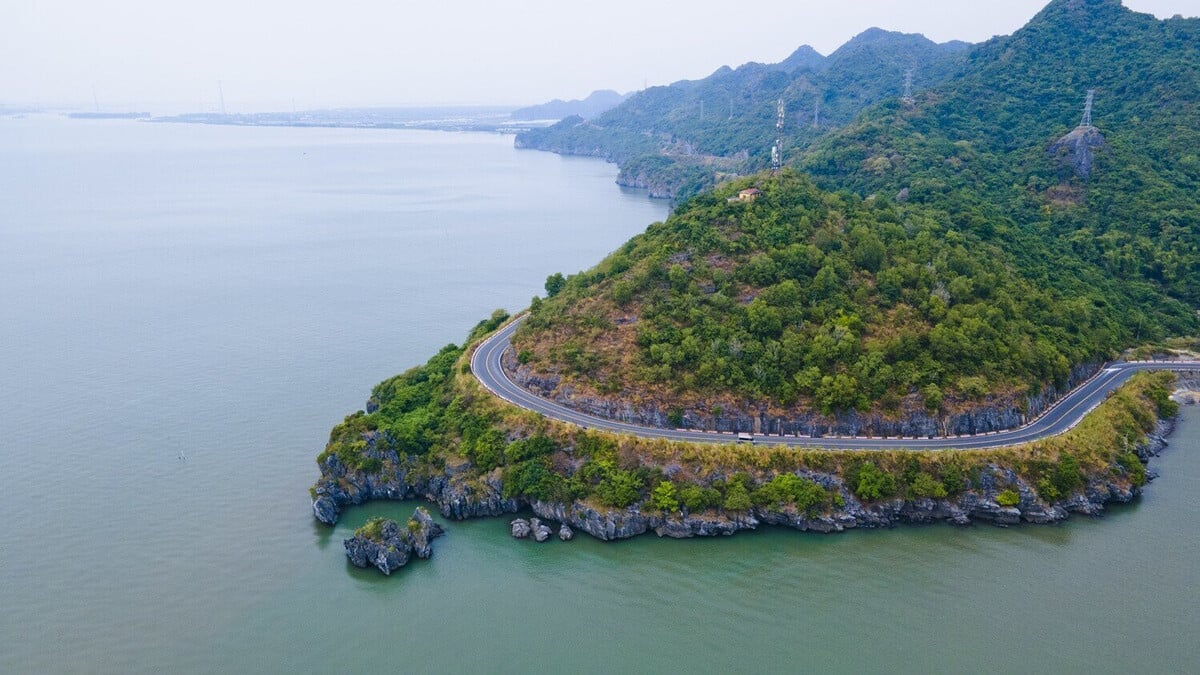 Chiêm ngưỡng cung đường xuyên đảo Cát Bà đẹp khó tin - ảnh 5