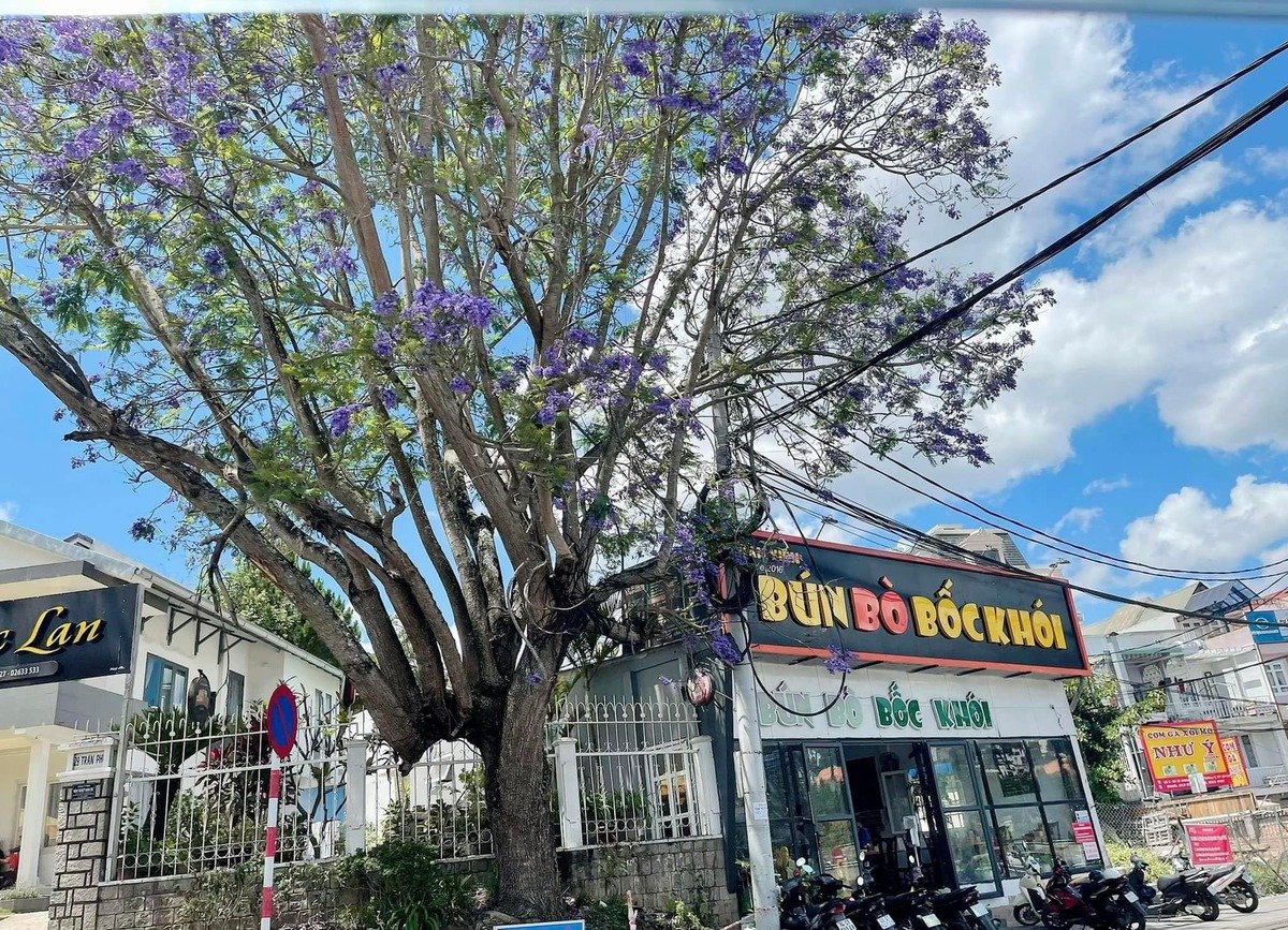 Không gian bên ngoài quán bún bò Bốc Khói (Ảnh: Bún Bò Bốc Khói Đoàn Viên)