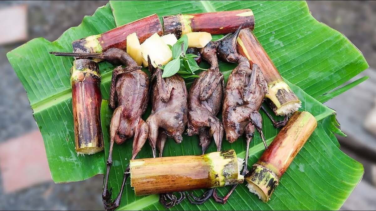 Ăn chim mía Bình Định ở đâu ngon? Mách bạn 5 địa chỉ nổi tiếng nhất - ảnh 1