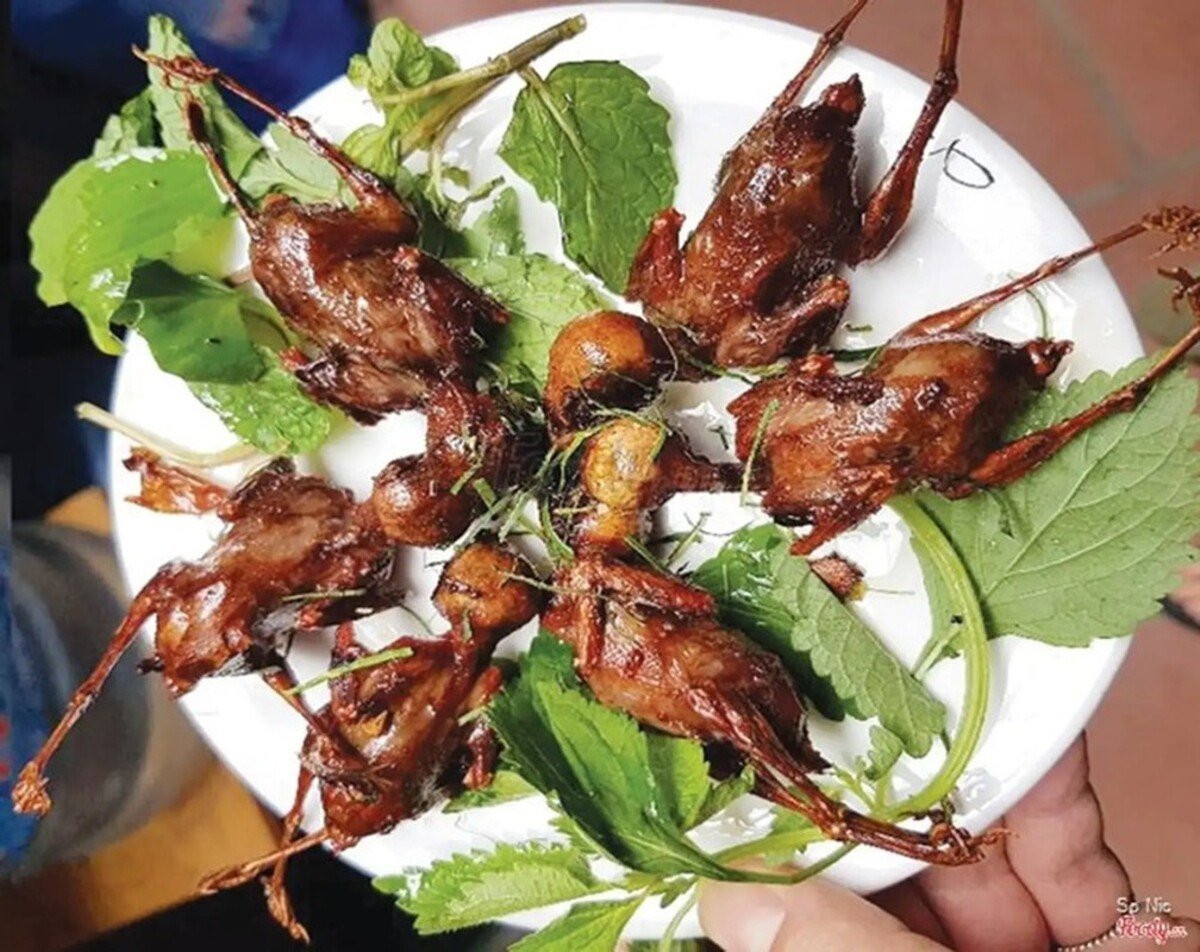 Ăn chim mía Bình Định ở đâu ngon? Mách bạn 5 địa chỉ nổi tiếng nhất - ảnh 2