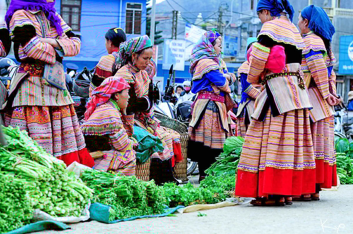 Top 5 trải nghiệm hấp dẫn nhất khi đi Hà Giang hè 2025 - ảnh 4