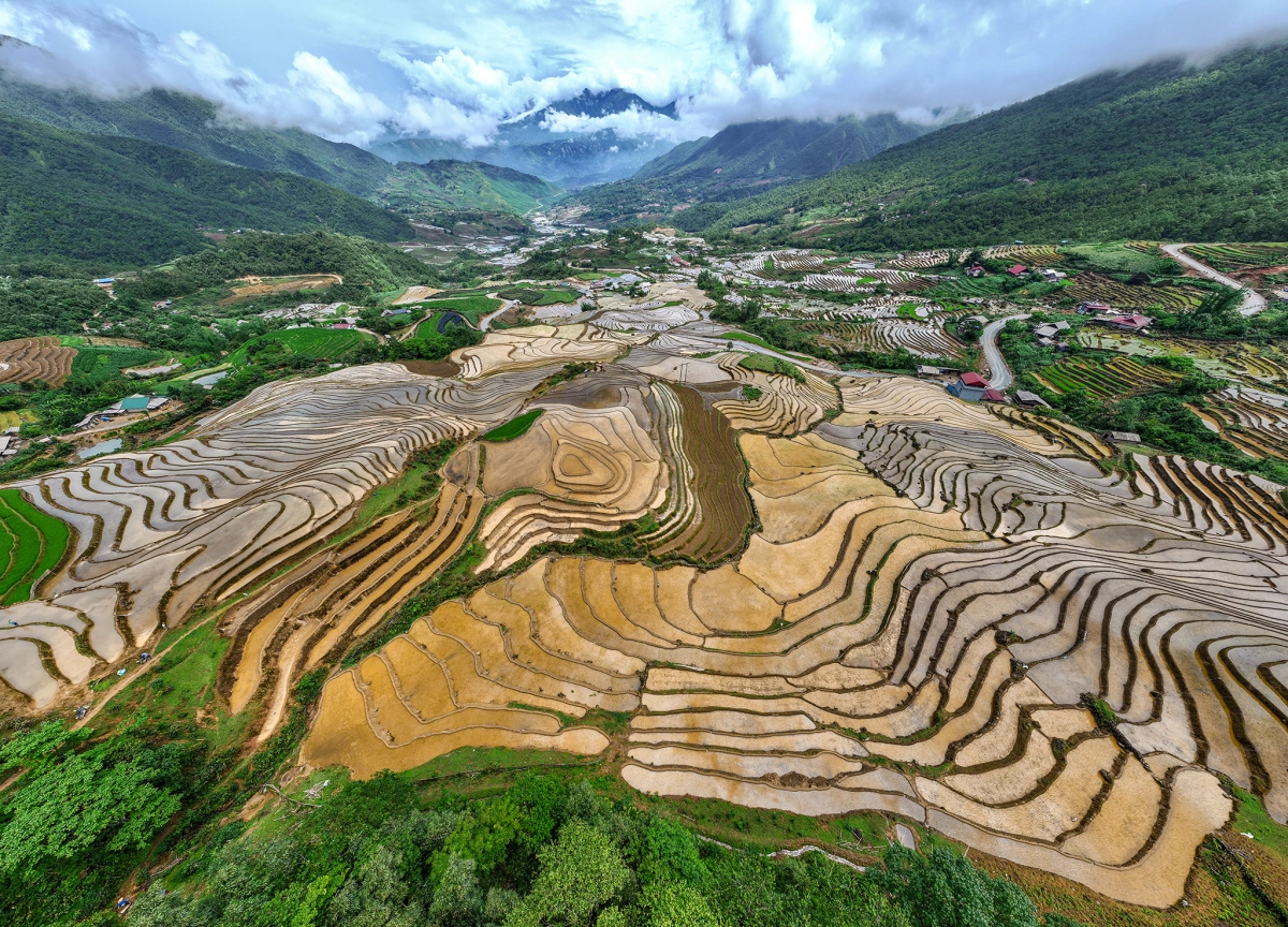 Ảnh: Cao Như Thuỵ
