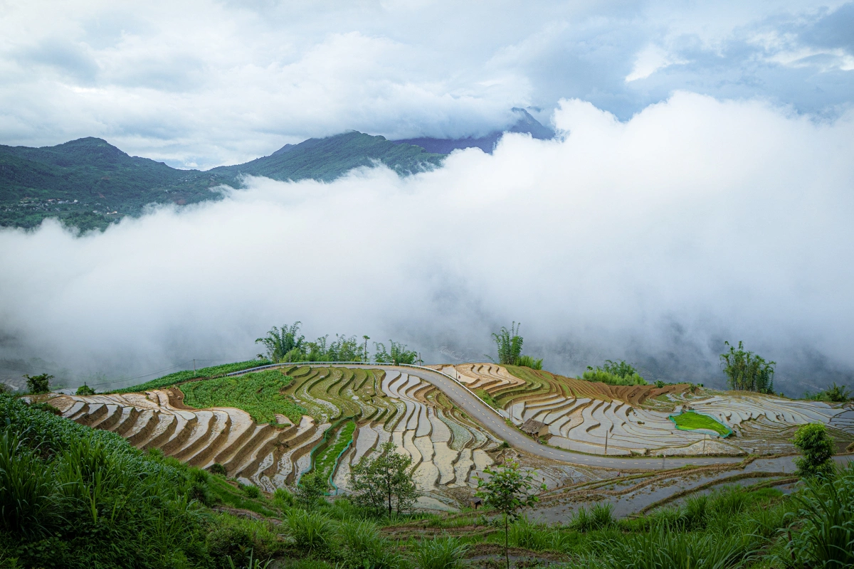 Ảnh: Cao Như Thuỵ