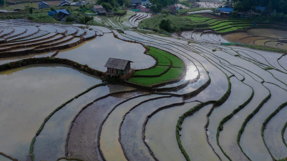 Ảnh: Cao Như Thuỵ