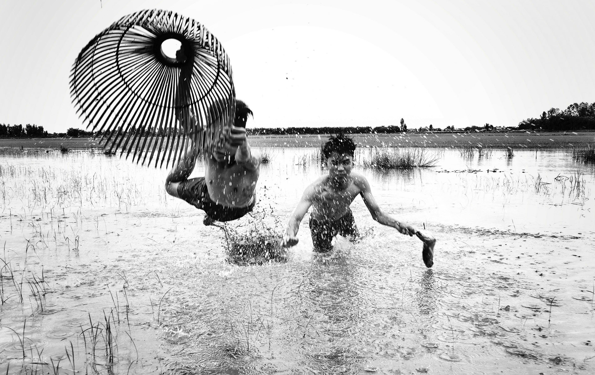 Tác phẩm 'Net Fish in Water Fields” (Ảnh: Chang Jiangbin)