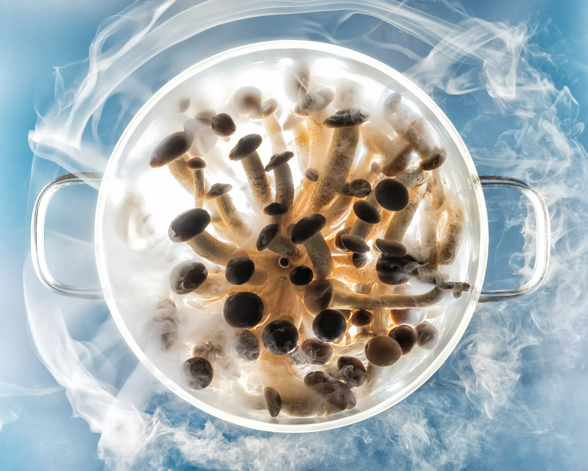 Tác phẩm 'Sky Mushrooms' (Ảnh: Diego Papagna)