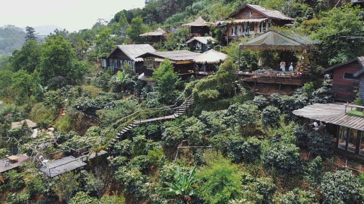 Đi Đà Lạt nên ở homestay nếu bạn đi theo nhóm nhỏ, đi cùng người yêu (Nguồn: Internet)
