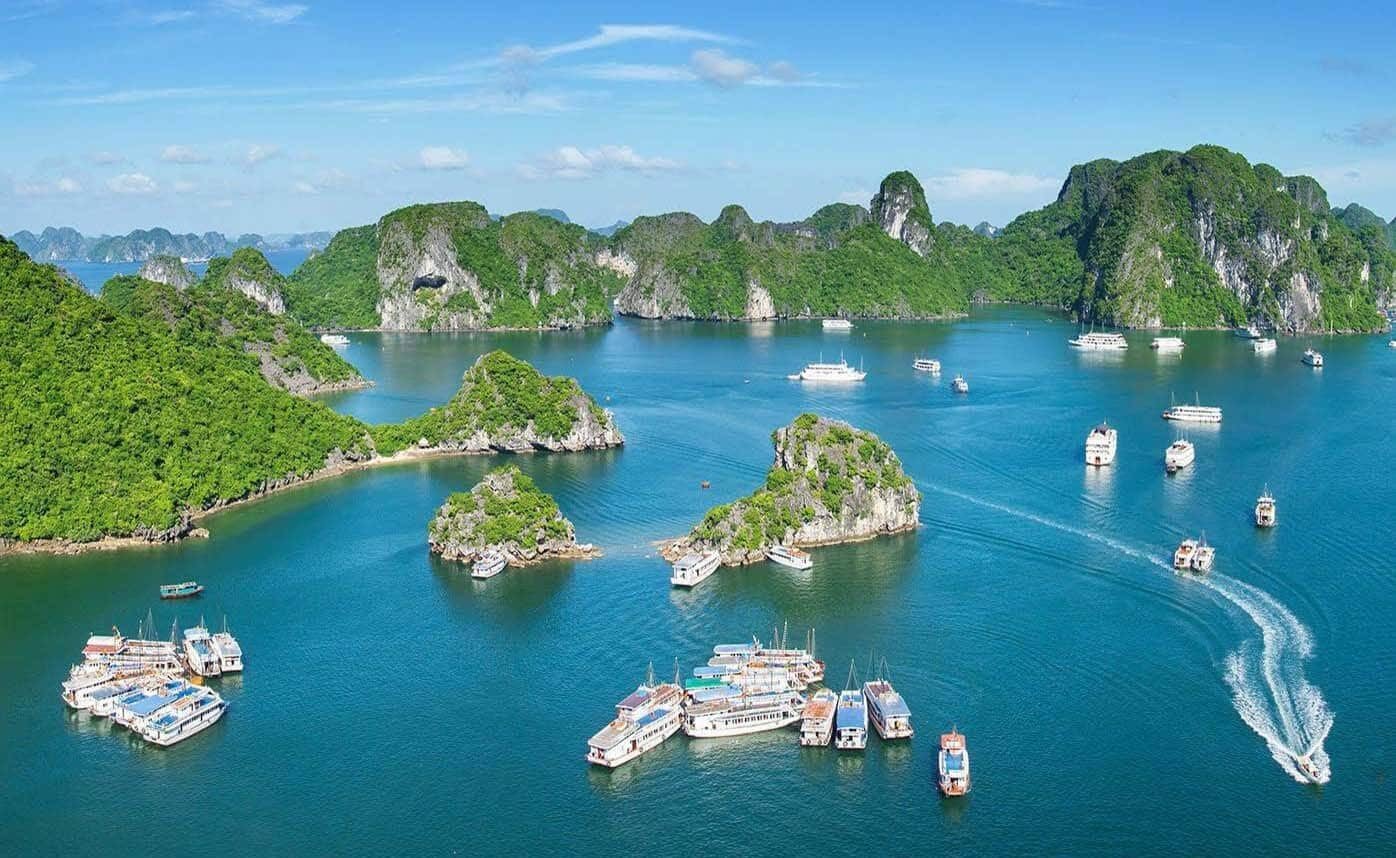 Cát Bà - Hải Phòng (Ảnh: Internet)