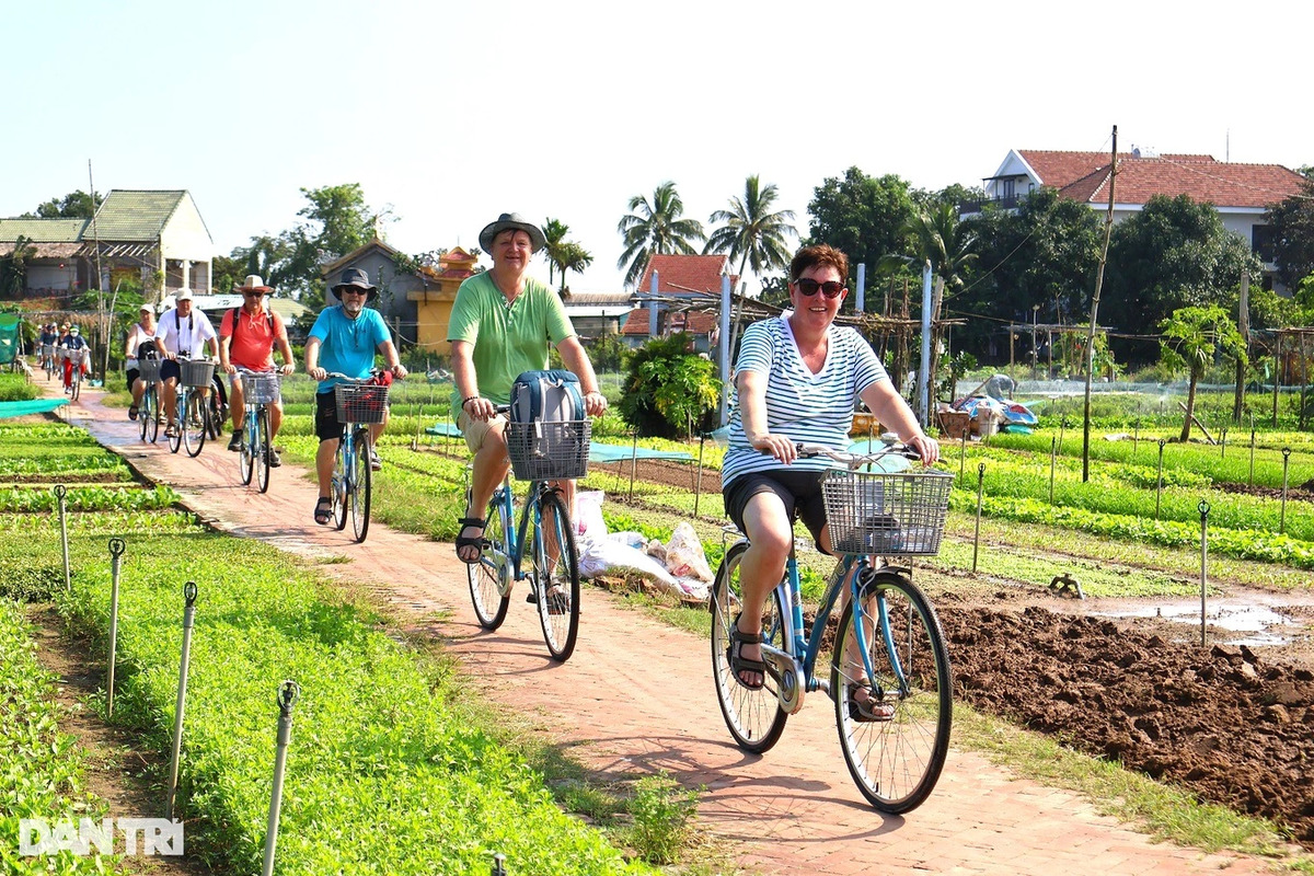 Khách nước ngoài tham quan vườn rau Trà Quế, điểm đến du lịch xanh tại thành phố Hội An, Quảng Nam (Ảnh: Báo Dân Trí)