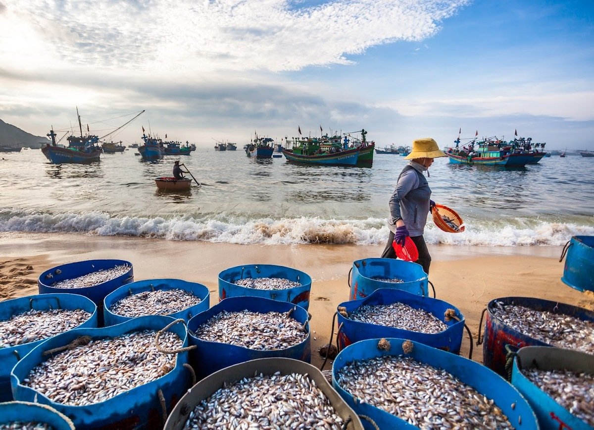 Làng chài Nhơn Lý (Nguồn: Internet)