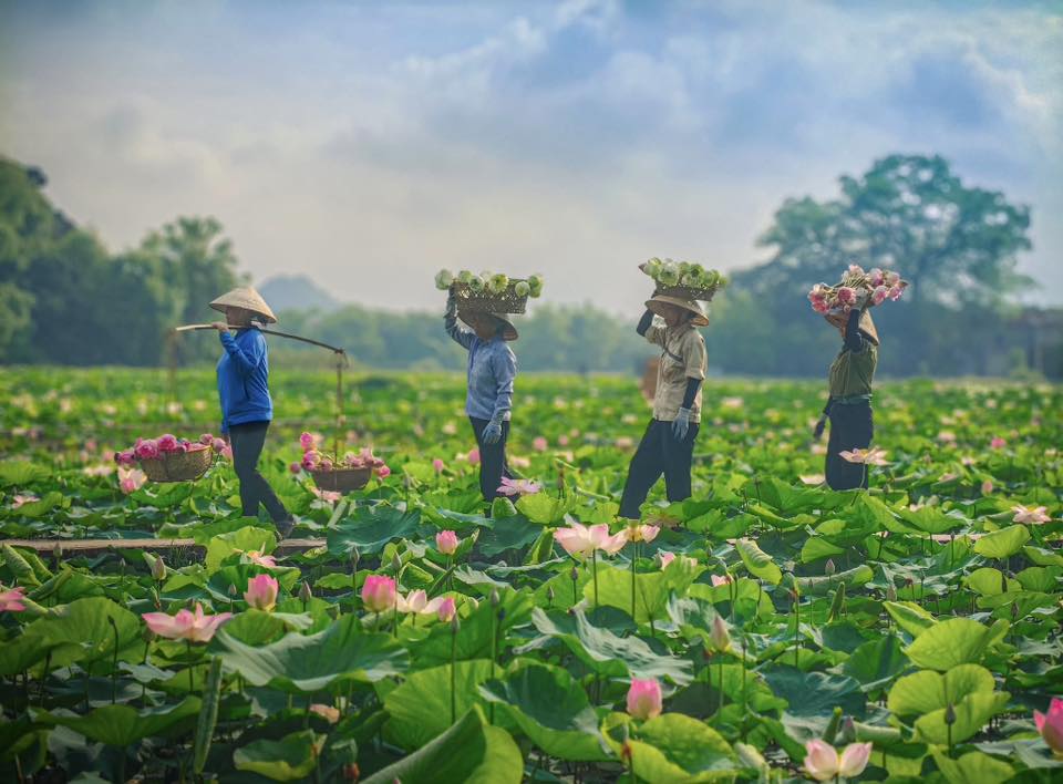 Thời điểm check-in đẹp nhất là từ 6h-8h sáng (Ảnh: Internet)