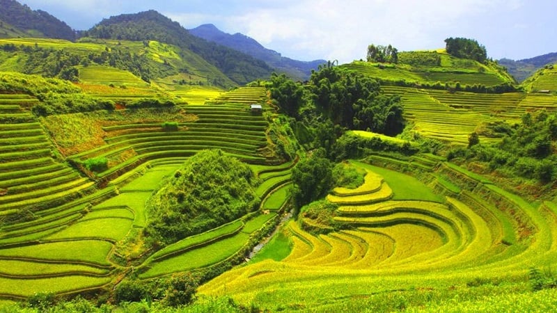 Pù Luông đẹp mê hồn mùa lúa chín: Đi là chẳng muốn về - ảnh 1