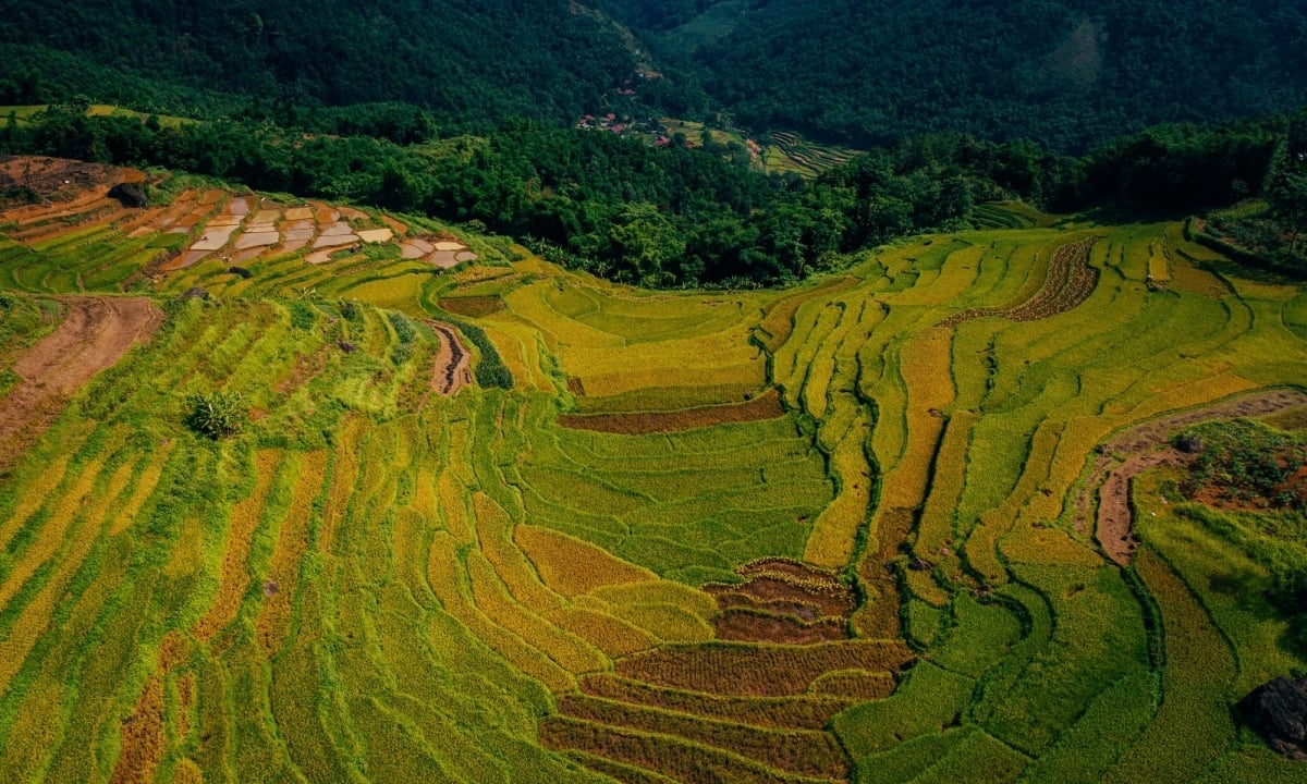 Pù Luông tháng 6 khoác lên mình màu áo mới (Ảnh: Internet)