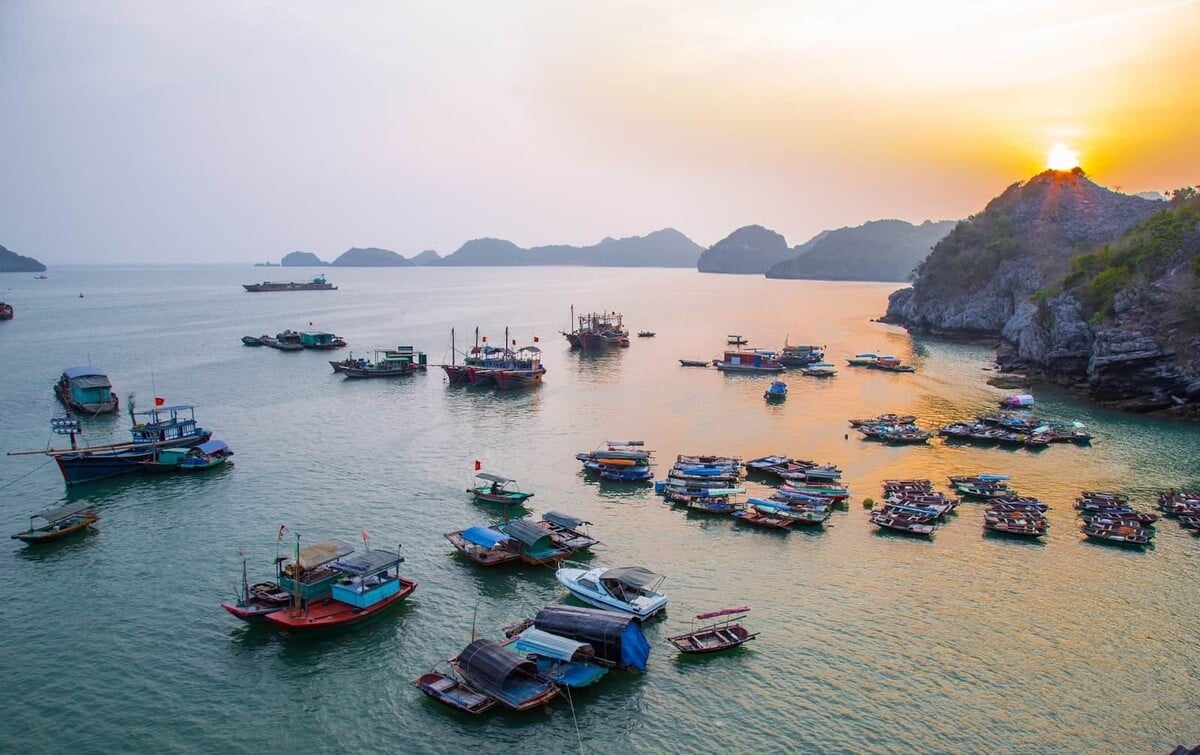 Chợ nổi Lan Hạ: Nét đẹp độc đáo giữa cảnh quan kỳ vĩ - ảnh 2
