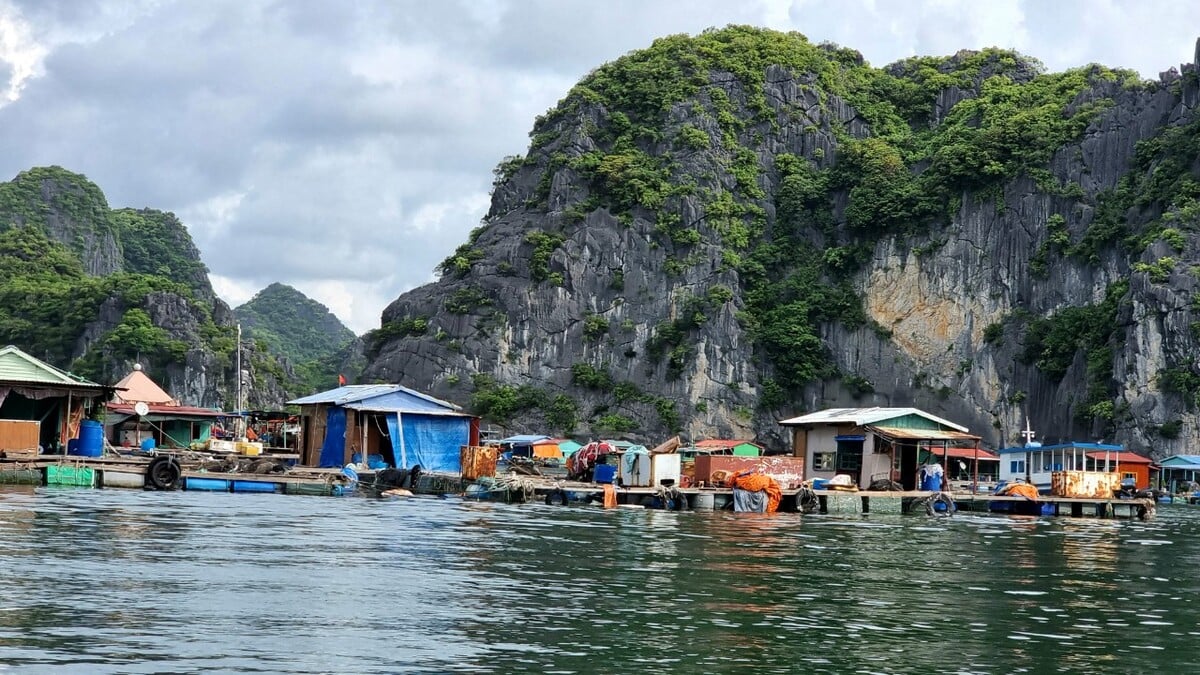 Chợ nổi Lan Hạ: Nét đẹp độc đáo giữa cảnh quan kỳ vĩ - ảnh 3