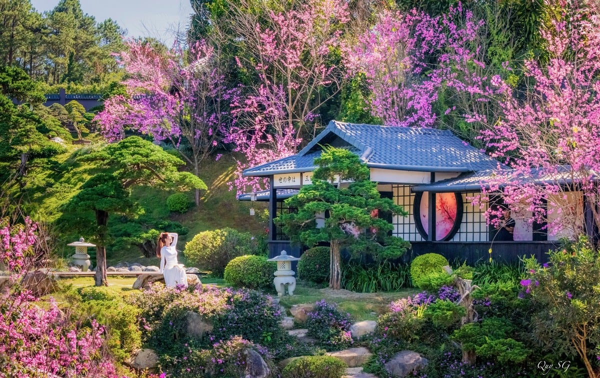 QUÊ Garden là một khu vườn mang đậm phong cách thiền của Nhật Bản (Ảnh: QUÊ Garden - Vạn Thành)