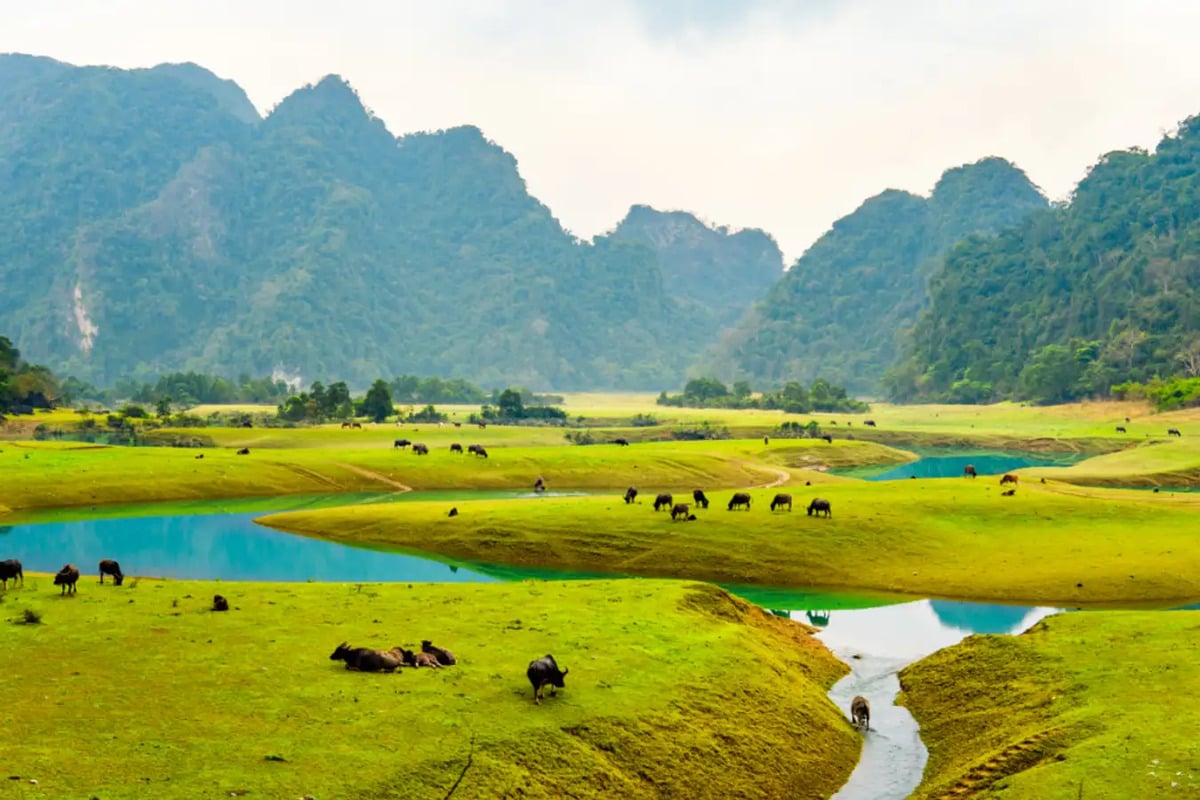 Tham khảo top 5 địa điểm cắm trại đẹp nhất ở Lạng Sơn - ảnh 2