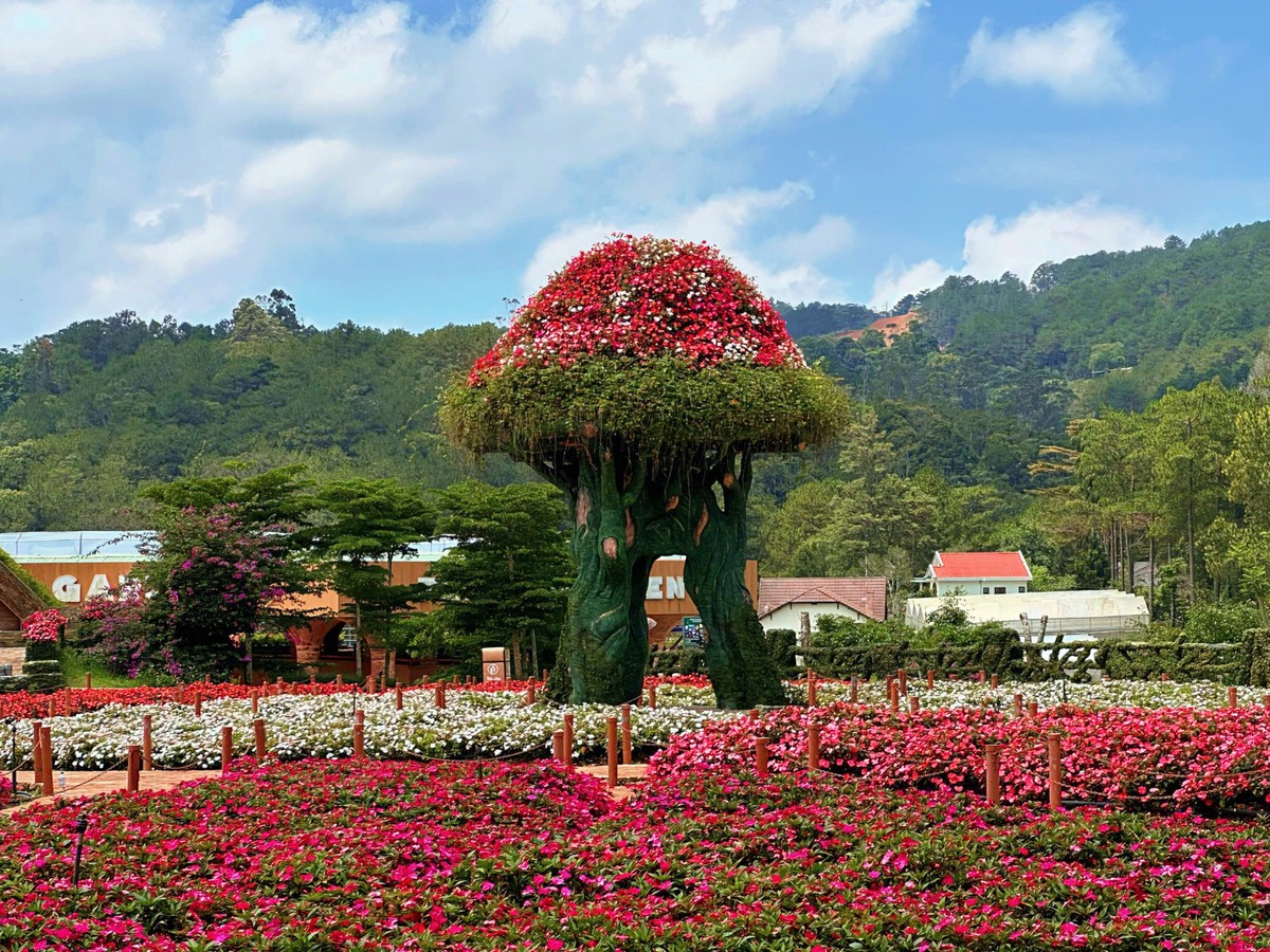 Không gian tàn ngập sắc hoa tại Fresh Garden (Ảnh: Khu du lịch Fresh Garden Dalat)