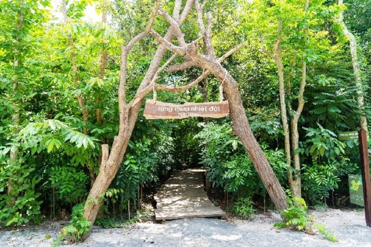 Rừng Quốc Gia Bình Châu (Ảnh: Bà Rịa Vũng Tàu Tourism)
