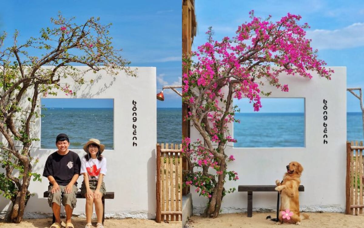 Du khách chụp hình check-in ở Cafe Bồng Bềnh (Nguồn: Internet)