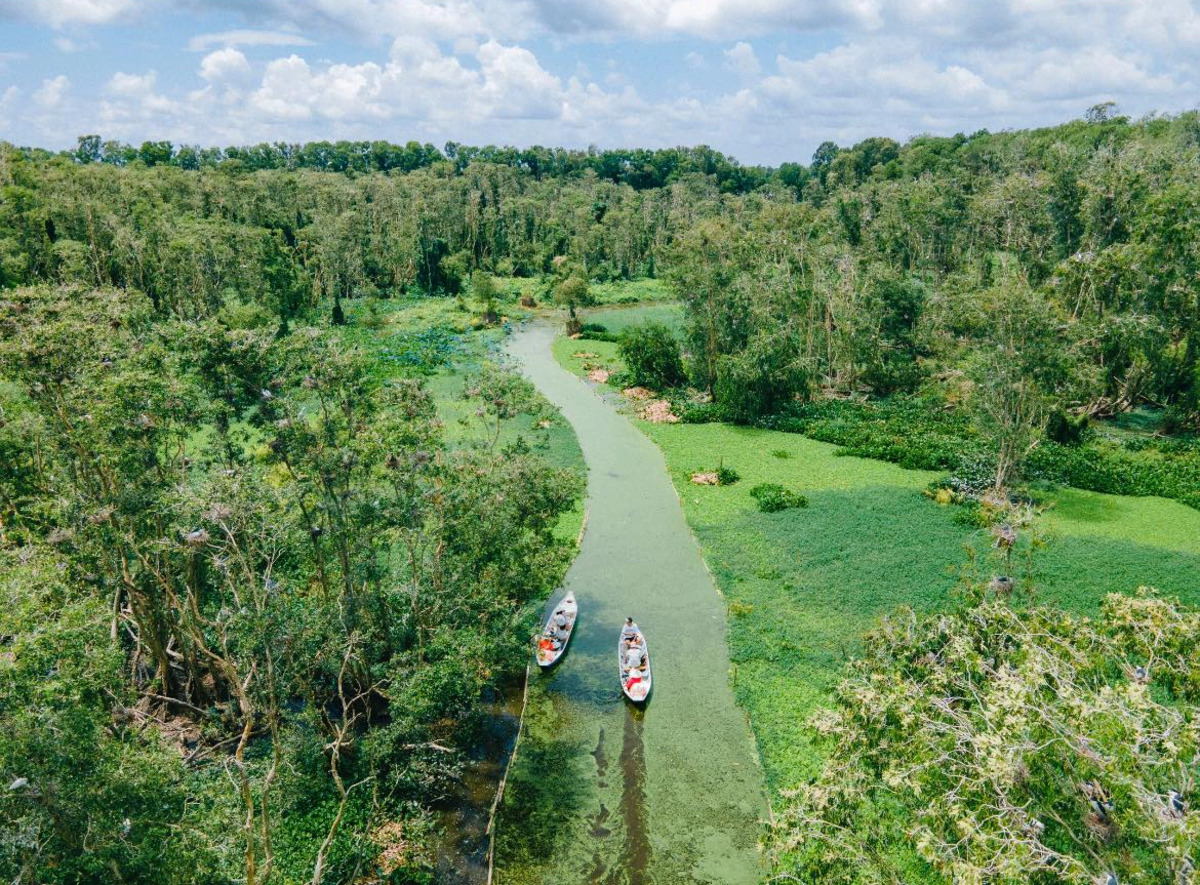 Phần lõi của rừng tràm Trà Sư nhìn từ trên cao (Ảnh: Trasu Tourist Area)
