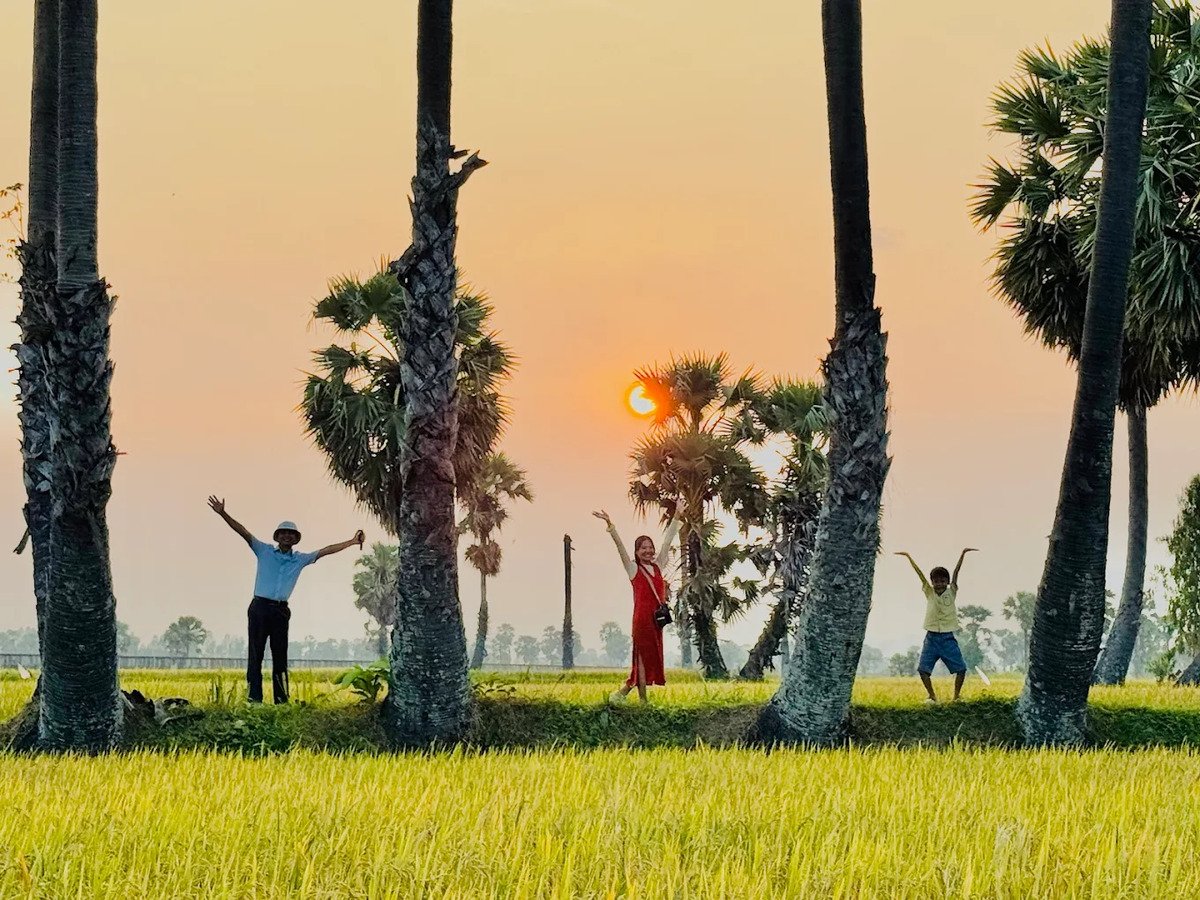 Cánh đồng thốt nốt (Ảnh: Hieu Doan Chi)