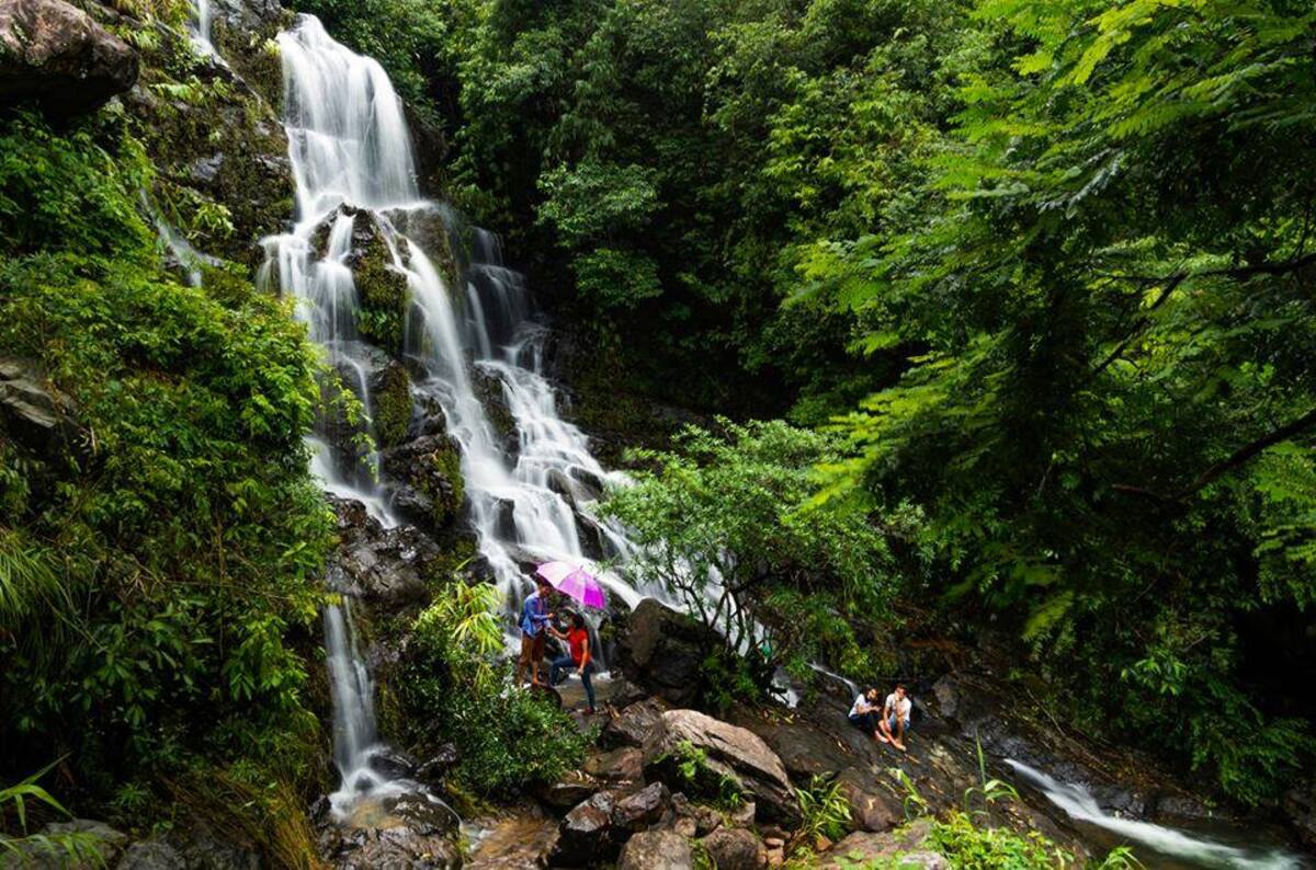 Vườn thực vật Phong Nha (Ảnh: Phong Nha Botanic Garden)
