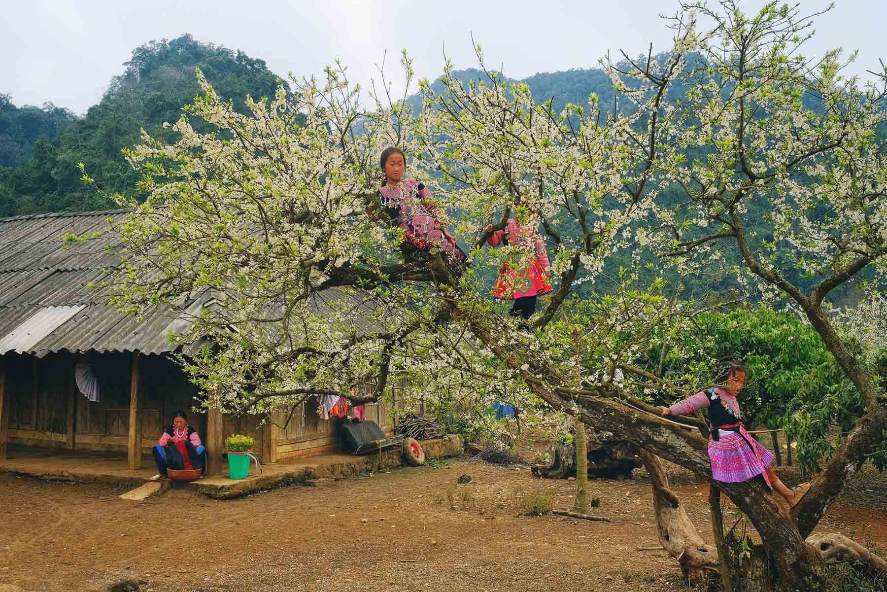 Trải nghiệm cuộc sống của người Mông (Ảnh: Internet)