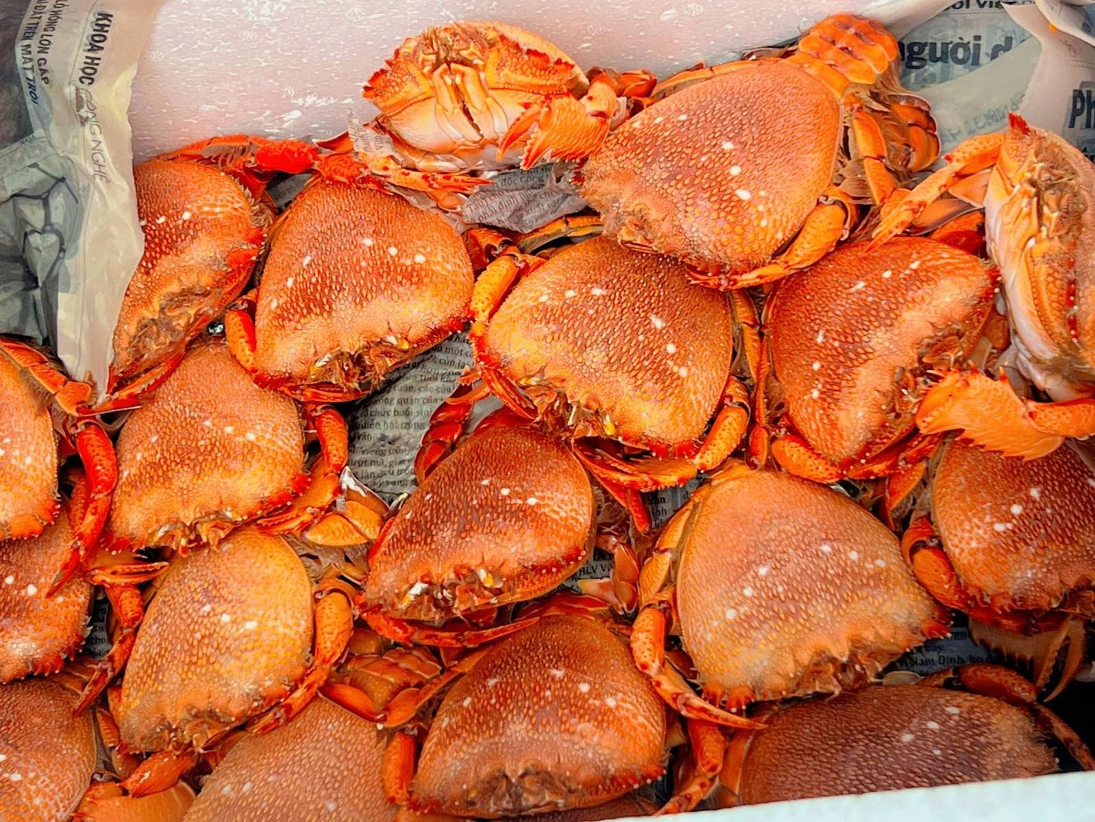Review 7 nhà hàng hải sản ngon - rẻ - chất lượng ở Quảng Ngãi - ảnh 1
