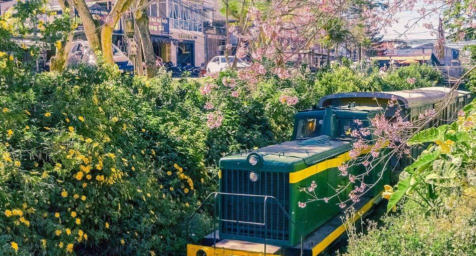 Tiết kiệm đến 40% chi phí, du lịch bằng tàu hỏa lên ngôi mùa hè - ảnh 1