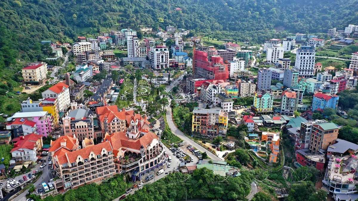 Tam Đảo. (Ảnh: Internet)