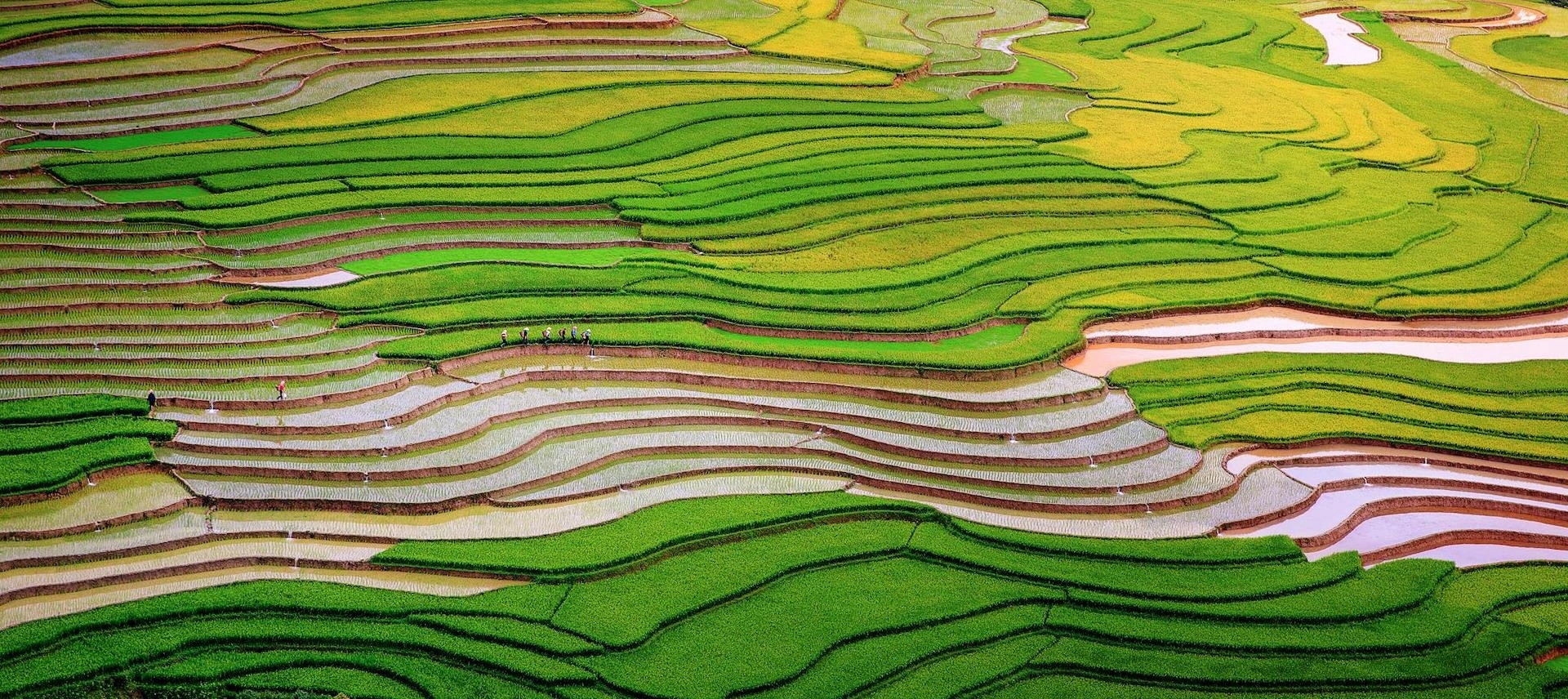Mù Cang Chải - Yên Bái (Ảnh: Nguyễn Tấn Tuấn)