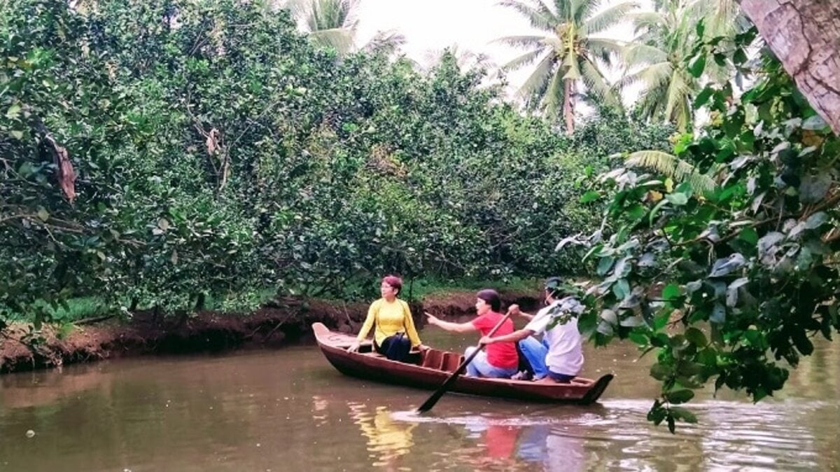 Chèo thuyền tham quan Cồn Hô (Ảnh: TTTTXT Du lịch Trà Vinh)