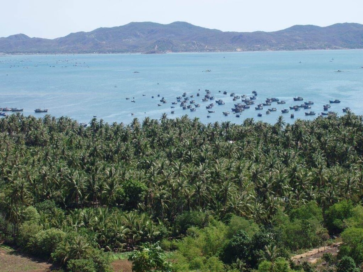 Vịnh Xuân Đài (Nguồn: Internet)