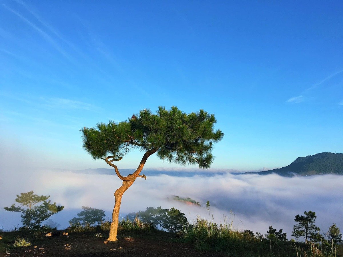 Đồi Thiên Phúc Đức (Ảnh: Hoa Nguyễn/Check in Vietnam)