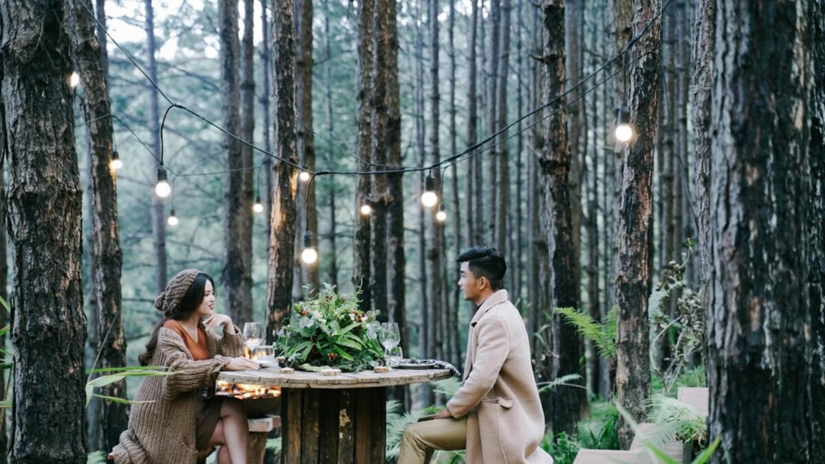Rừng Thông Mơ Farm & Bistro (Nguồn: Internet)