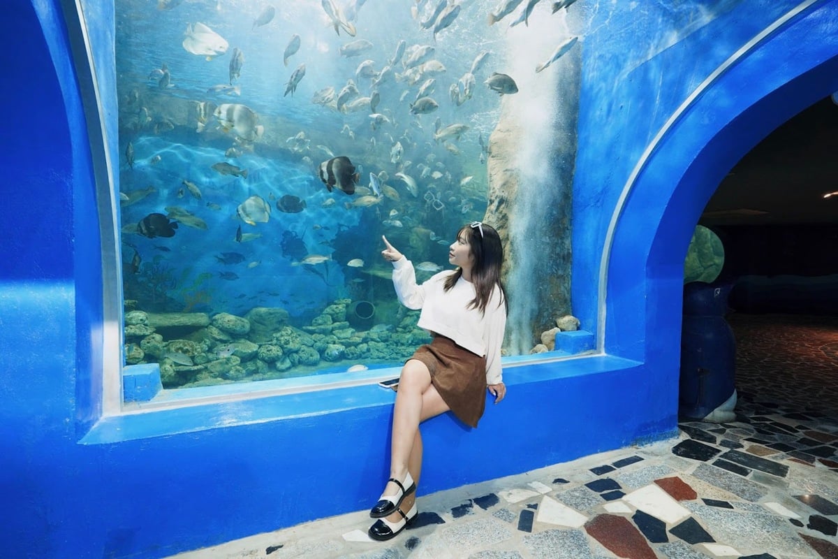 Ảnh: Thiên đường Bảo Sơn