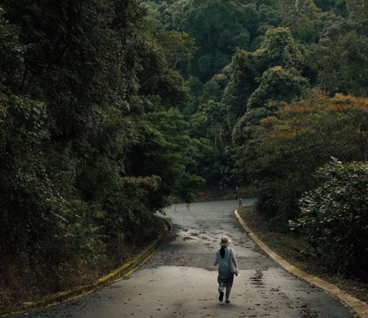 Cung đường trekking đỉnh Pinhatt (Ảnh: @flynnplu)