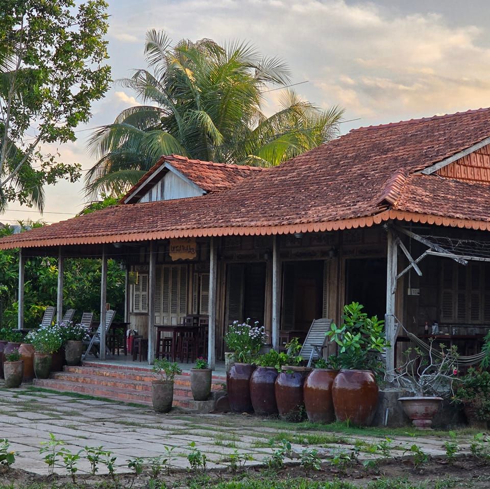 View nhìn từ homestay cực chill (Ảnh: Út Trinh Homestay)
