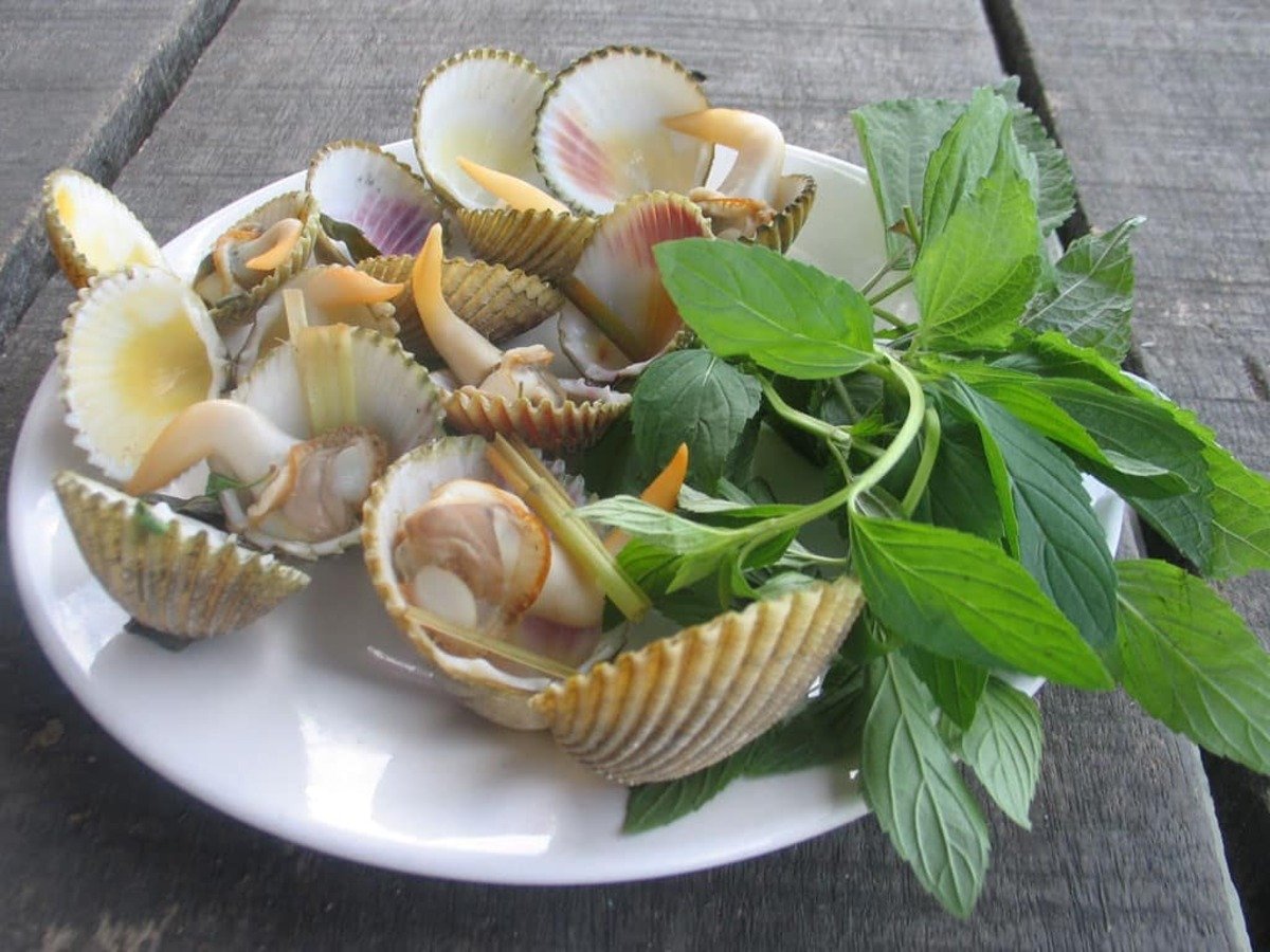 Bỏ túi 6 quán ốc siêu ngon ở Phú Yên - ảnh 1