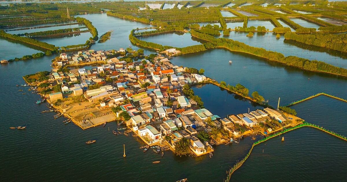 Khám phá đầm lớn nhất Bình Định: Tại sao gọi là Thị Nại? - ảnh 4