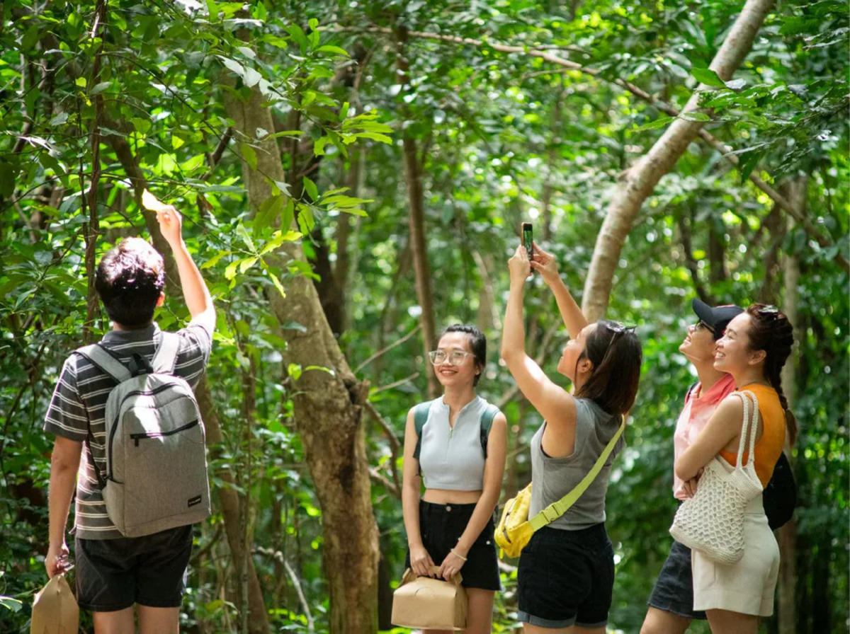 Hiking/trekking xuyên rừng tại Vườn quốc gia Côn Đảo (Nguồn: Internet)