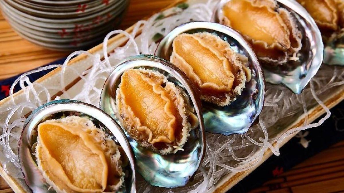 Bào ngư Đà Nẵng mua ở đâu ngon? 5 địa chỉ cho du khách tham khảo - ảnh 1