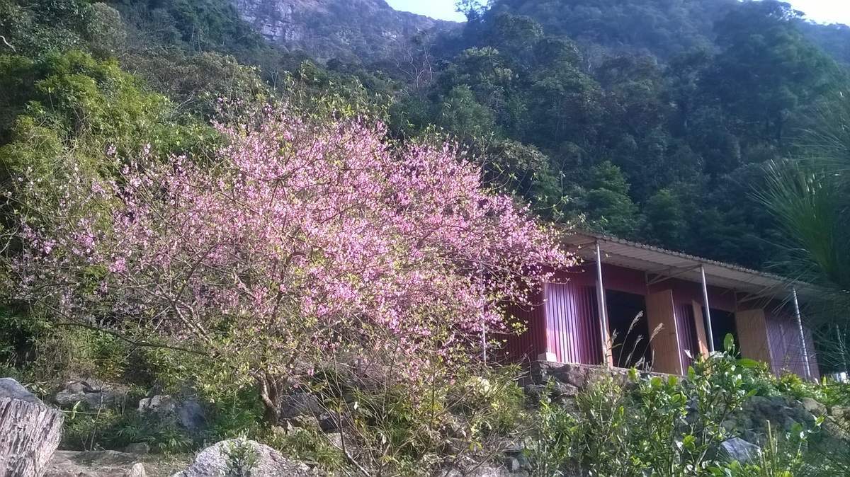 Khám phá Chùa Hồ Thiên: Về chốn Tổ của Thiền phái Trúc Lâm tại Quảng Ninh - ảnh 1