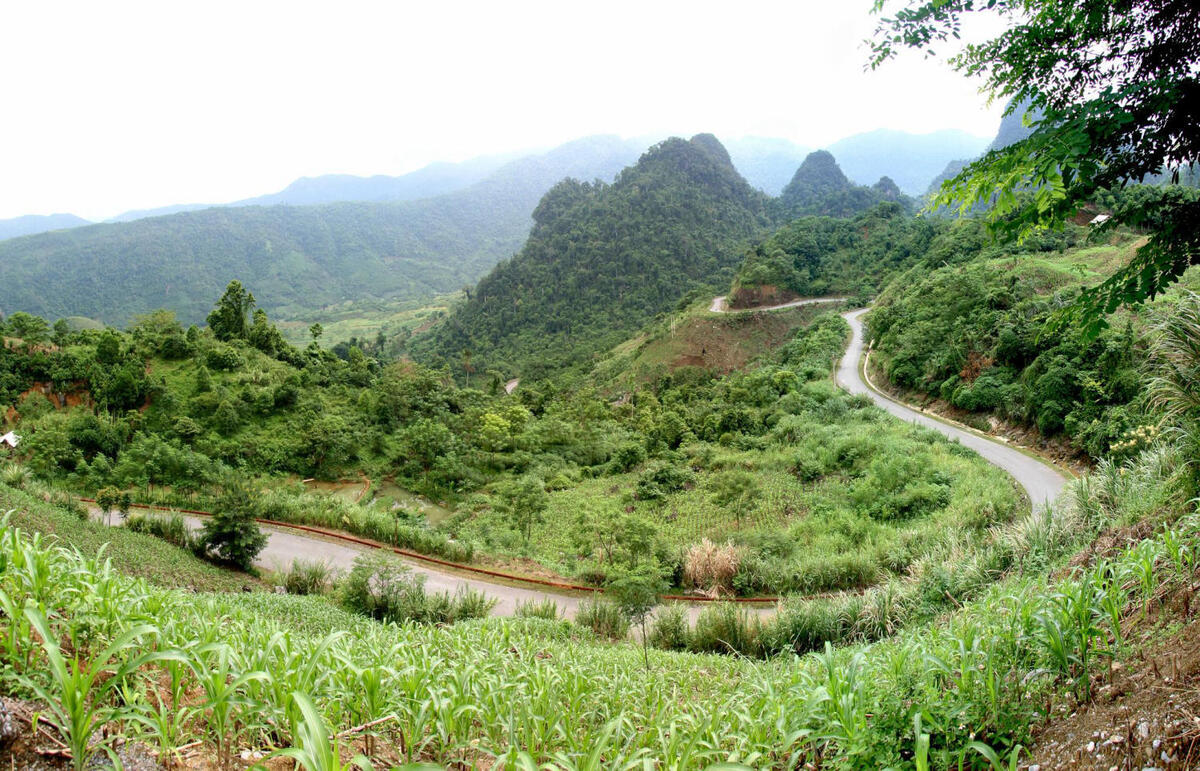 Một đoạn đèo Lũng Lô. (Ảnh: Internet)
