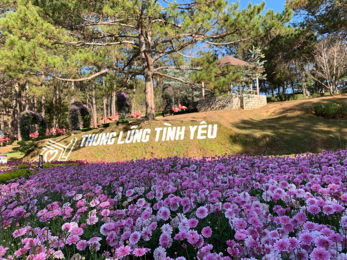 Lưu ý khi mua vé tham quan Thung Lũng Tình Yêu (Nguồn: Internet)