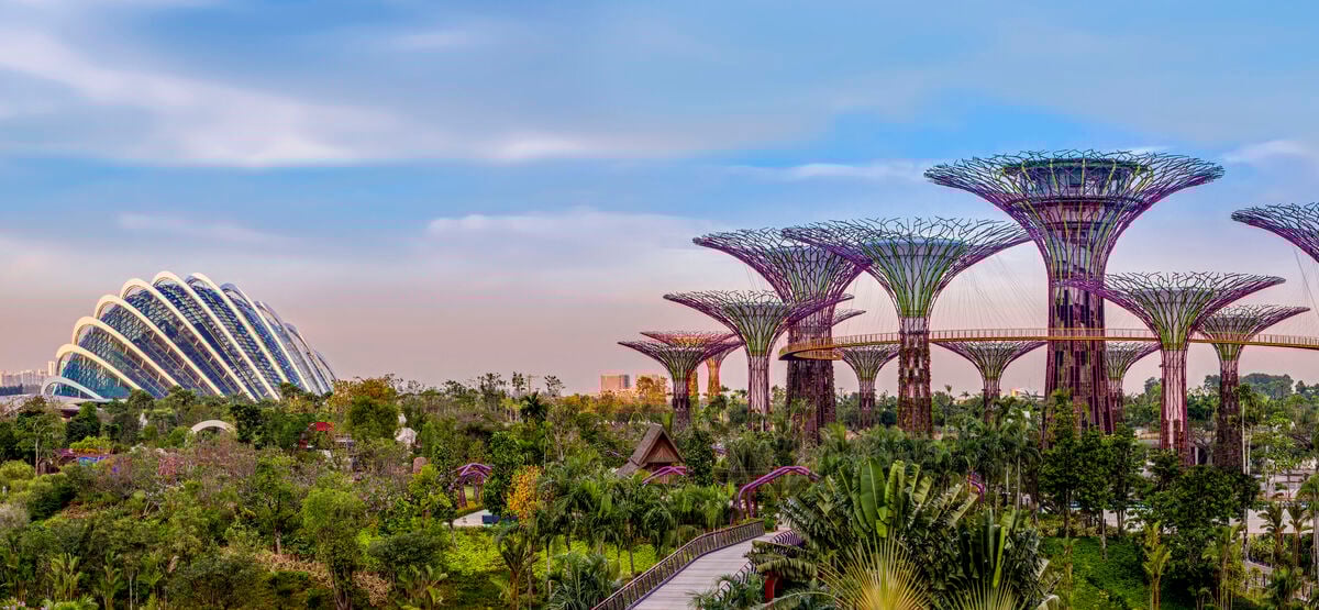 Gardens by the Bay. (Ảnh: Internet)