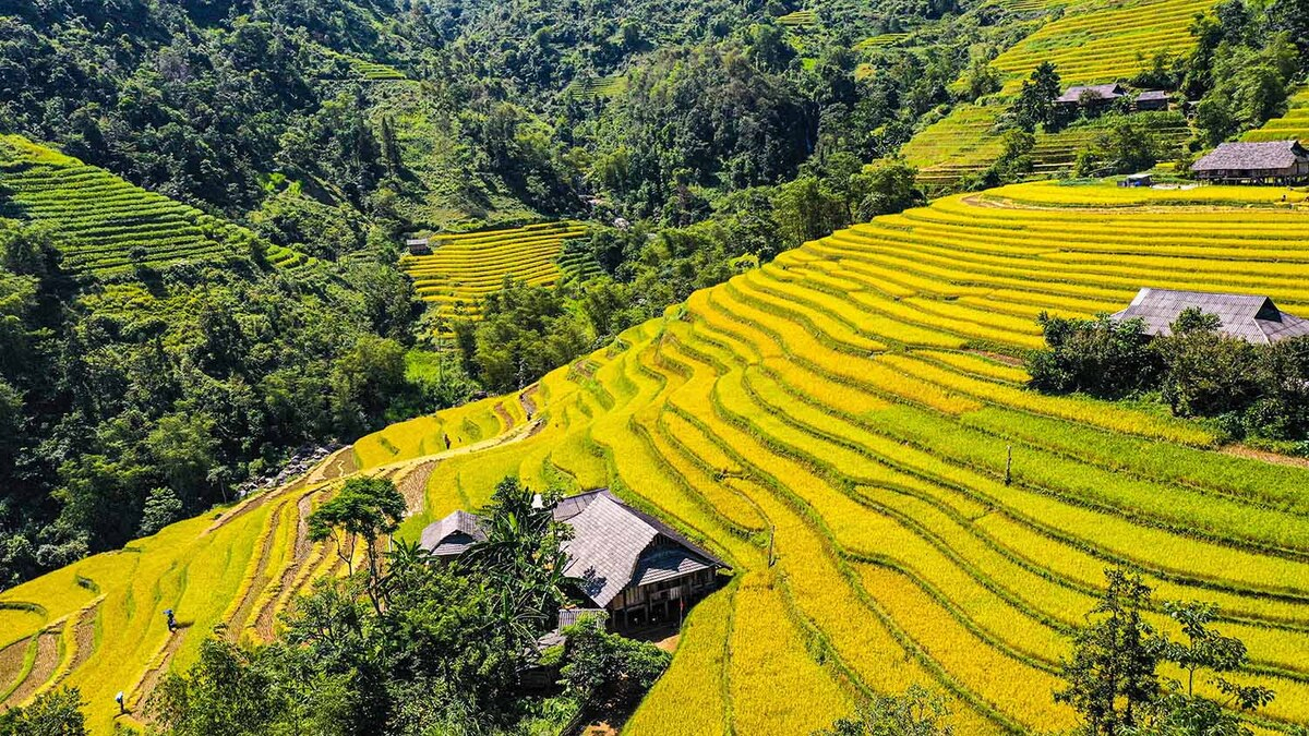 Bản Luốc: Vẻ đẹp bình yên ở nơi có ruộng bậc thang đẹp nhất Hà Giang - ảnh 1