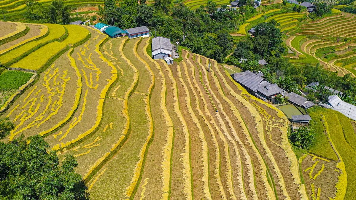 Bản Luốc: Vẻ đẹp bình yên ở nơi có ruộng bậc thang đẹp nhất Hà Giang - ảnh 2